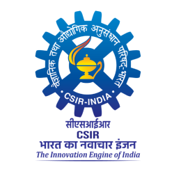 Untitled design (29)